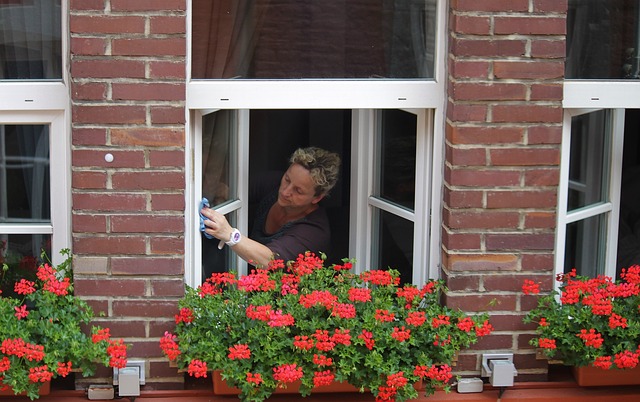 home maintenance guide - washing windows